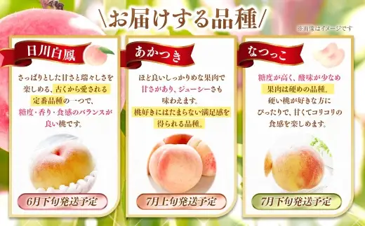 【 3回定期便 】3種の桃が楽しめる！計約3kg 【2026年6月下旬～7月下旬発送予定】 桃 定期便 3回  日川鳳凰 あかつき なつっこ 食べ比べ