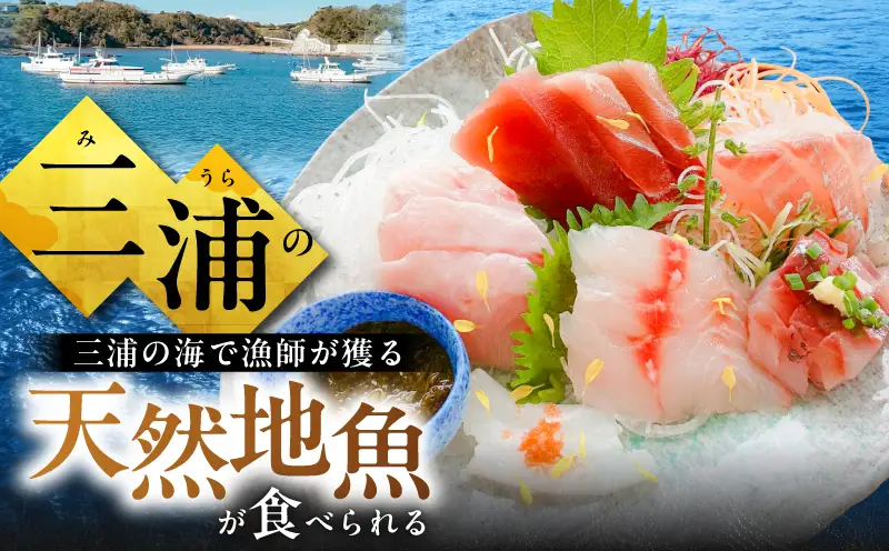 地魚料理松輪 お食事券3,000円分 M120-002-01 食事券 地魚料理