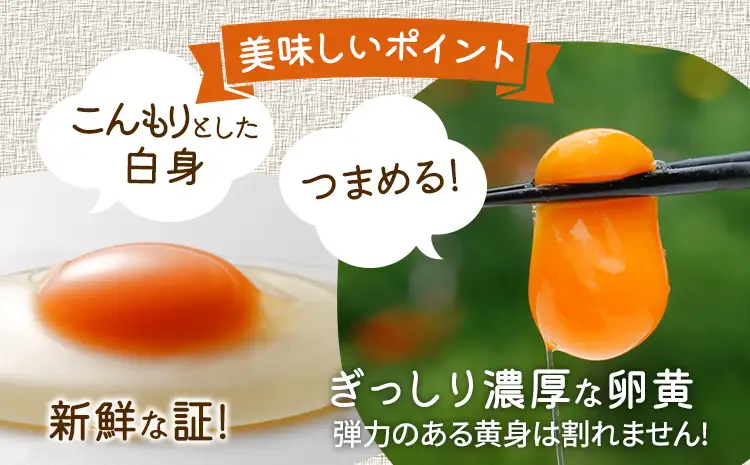 卵  青柳たまご 20個  卵 