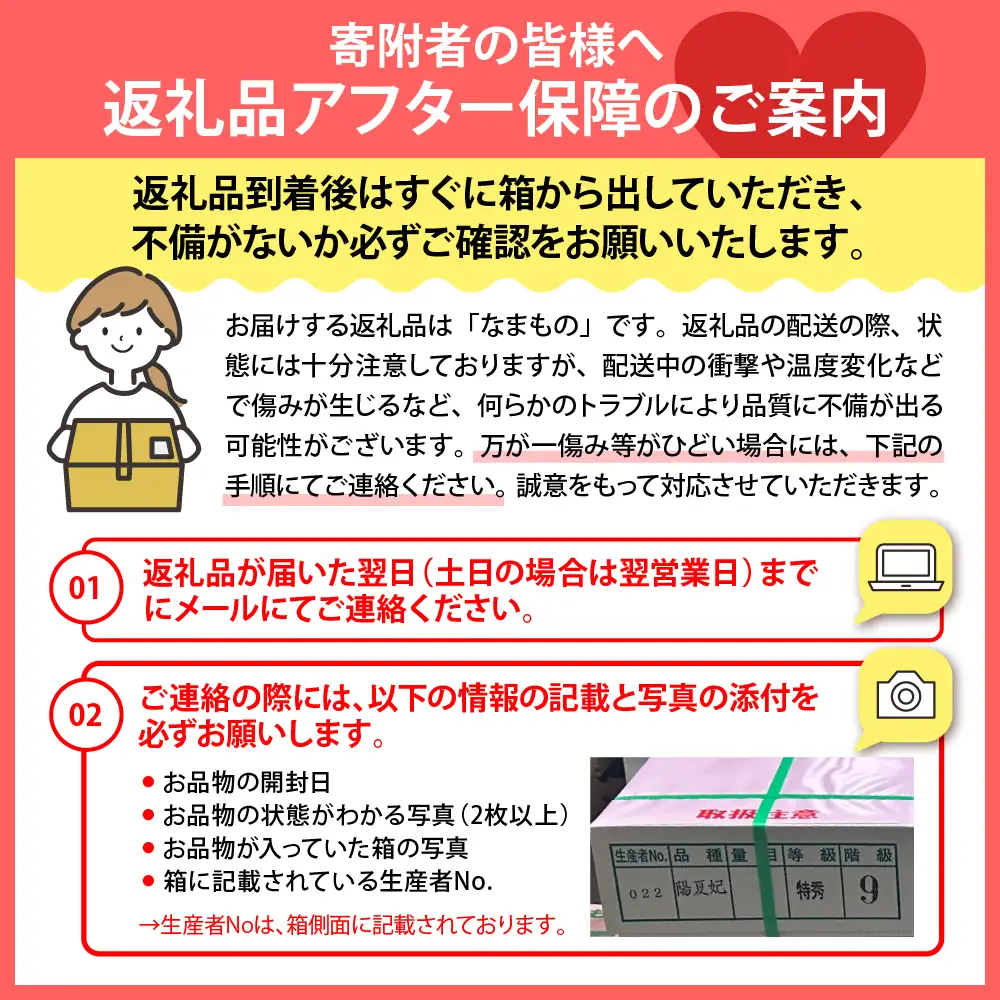 ぶどう シャインマスカット 2kg 令和8年産 山形県産 ぶどう