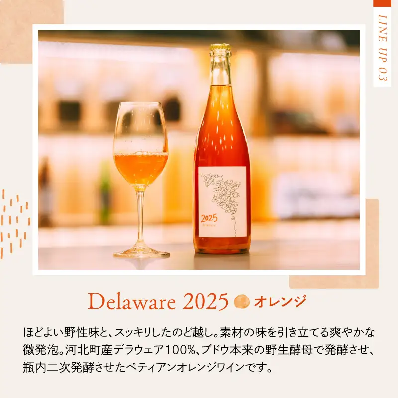 ワイン 2025 3本飲み比べセット オレンジ 赤 白 ワイン