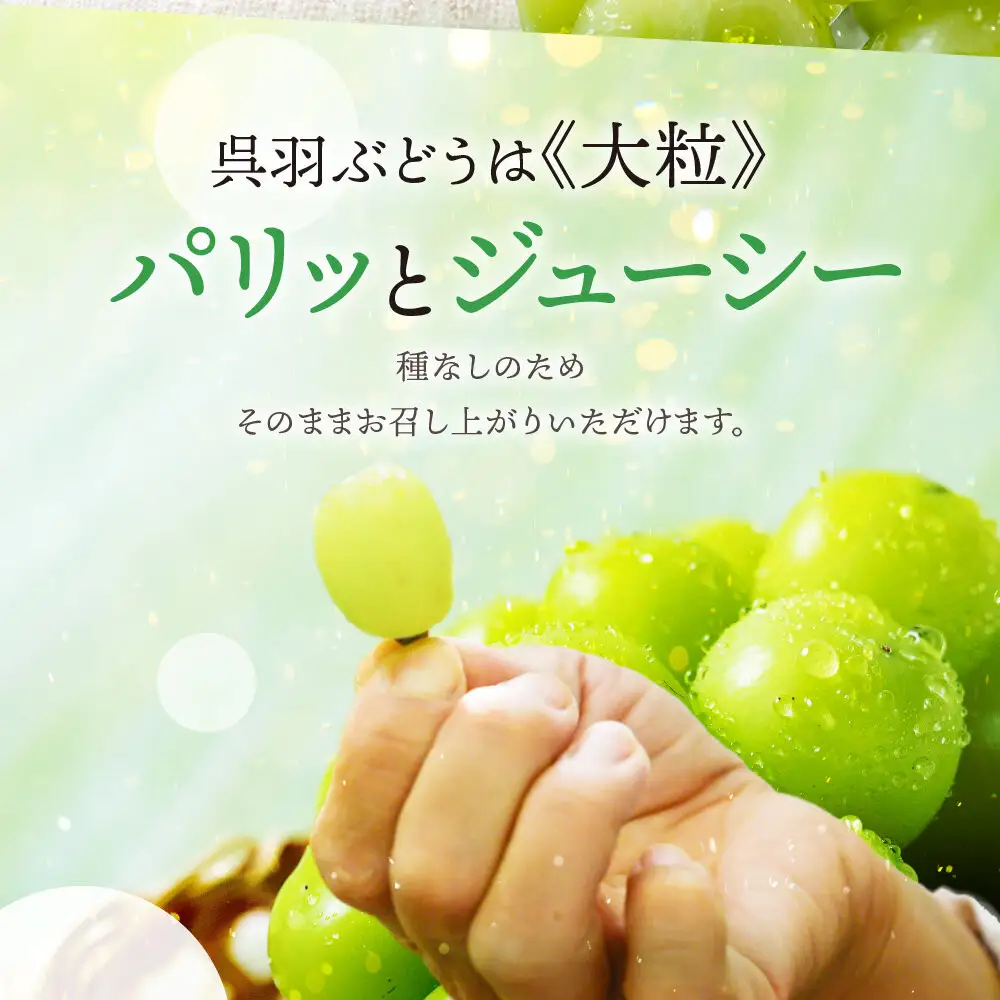 【先行予約】呉羽ぶどう　シャインマスカット＆ピオーネセット（各１房 計約1～1.2kg）