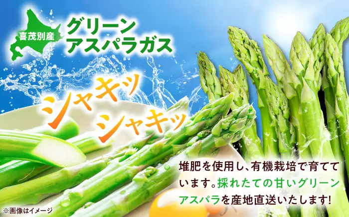 【5月中旬以降順次発送】 グリーンアスパラガス 1kg（2S・S/露地）アスパラ [AJAM016]