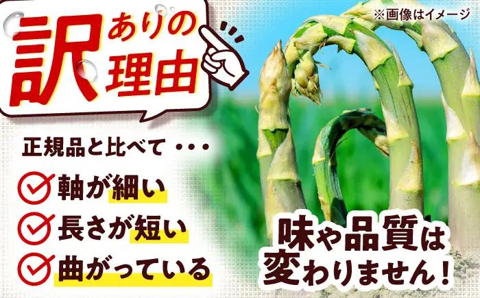 【訳あり】【5月中旬以降順次発送】グリーンアスパラガス 900g （M以上/露地栽培）アスパラ [AJAM017]