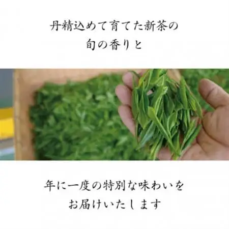 2026年度産 新茶 最上級煎茶「金扇」100g×3袋セット【配送不可地域：離島・沖縄県】【1668712】