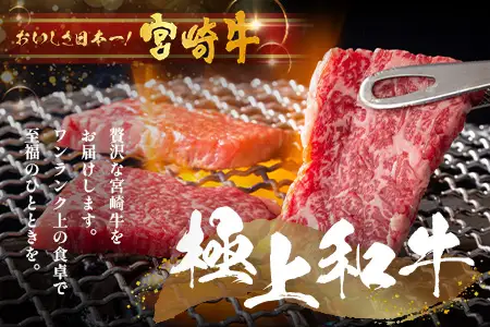 宮崎牛 赤身 モモウデ 焼肉 セット 計800g （約400g×2P）冷凍｜国産 牛肉 お肉 モモ ウデ 焼き肉 BBQ ブランド牛 高級 株式会社エムファーム 宮崎県 諸塚村 MF-04