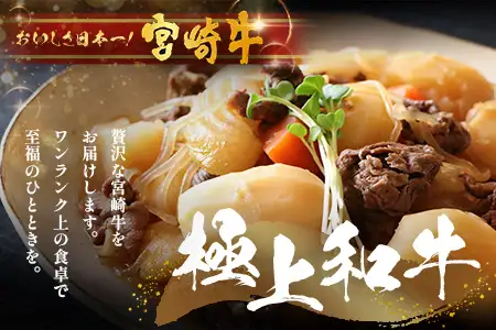 宮崎牛 バラ切り落とし 計1.2㎏（約200g×6P）冷凍｜国産 牛肉 お肉 バラ肉 切り落とし スライス ブランド牛 高級 株式会社エムファーム 宮崎県 諸塚村 MF-05