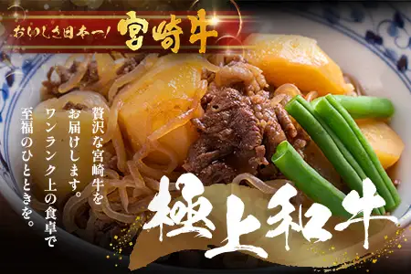 宮崎牛 赤身モモウデ切り落とし セット 計800g（約400g×2P）冷凍｜国産 牛肉 お肉 赤身 モモ ウデ 切り落とし スライス ブランド牛 高級 株式会社エムファーム 宮崎県 諸塚村 MF-06