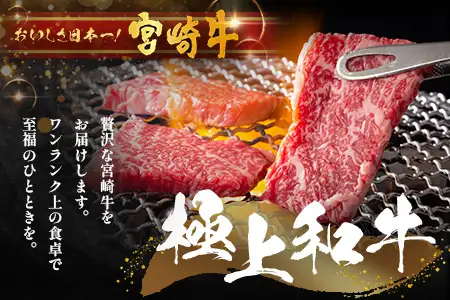 宮崎牛 モモ 焼肉用 計600g（約300g×2P）冷凍｜国産 牛肉 お肉 モモ肉 焼肉 焼き肉 BBQ ブランド牛 高級 株式会社エムファーム 宮崎県 諸塚村 MF-08
