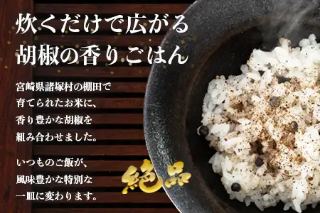 雑穀米 ペッパーライス 1本｜棚田米 塩漬け胡椒 胡椒 ご飯 ブレンド スーパーフード リゾット スープ 一般社団法人ツーリズム高千穂郷 宮崎県 諸塚村 TR-01