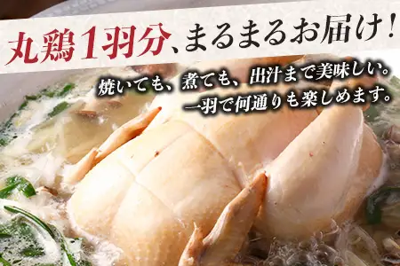 みやざき地頭鶏 1羽 中抜き 丸鶏 セット 冷凍｜鶏肉 地鶏 丸鶏 1羽まるごと ロースト チキン じとっこ 真空パック 興洋開発株式会社 宮崎県 諸塚村 KY-16