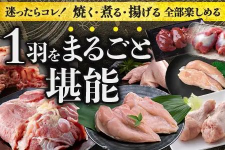みやざき地頭鶏 1羽をまるごと堪能セット 約1.6kg 冷凍｜鶏肉 地鶏 モモ ムネ ササミ 手羽先 手羽元 レバー 砂肝 ガラ 1羽まるごと ロースト チキン じとっこ 真空パック 興洋開発株式会社 宮崎県 諸塚村 KY-17