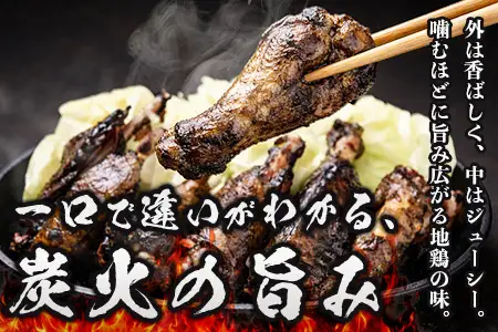みやざき地頭鶏 大手羽の炭火焼 1羽分×2P 常温｜鶏肉 地鶏 炭火焼 備長炭 焼き鳥 晩酌 おかず 惣菜 大手羽 コラーゲン 郷土料理 じとっこ 興洋開発株式会社 宮崎県 諸塚村 KY-18