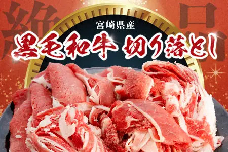宮崎県産 黒毛和牛 贅沢セット ミンチ肉 万能切り落とし 約1.1kg セット 冷凍｜国産牛 牛肉 お肉 ひき肉 ミンチ 切り落とし スライス パック 化粧箱入り ハンバーグ コロッケ ミートソース 焼肉 有田牧畜産業 宮崎県 諸塚村 AR-03