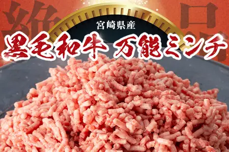 宮崎県産 黒毛和牛 万能ミンチ 約1.1kg（550g×2P）冷凍｜国産牛 牛肉 お肉 ひき肉 ミンチ パック ハンバーグ コロッケ ミートソース 三色丼 家庭用 有田牧畜産業 宮崎県 諸塚村 AR-04