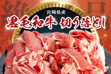 宮崎県産 黒毛和牛 万能切り落とし（約400g×1P）ハンバーグ（150g×3個）セット 冷凍｜国産牛 牛肉 お肉 切り落とし スライス パック ハンバーグ 焼くだけ 個包装 有田牧畜産業 宮崎県 諸塚村 AR-05