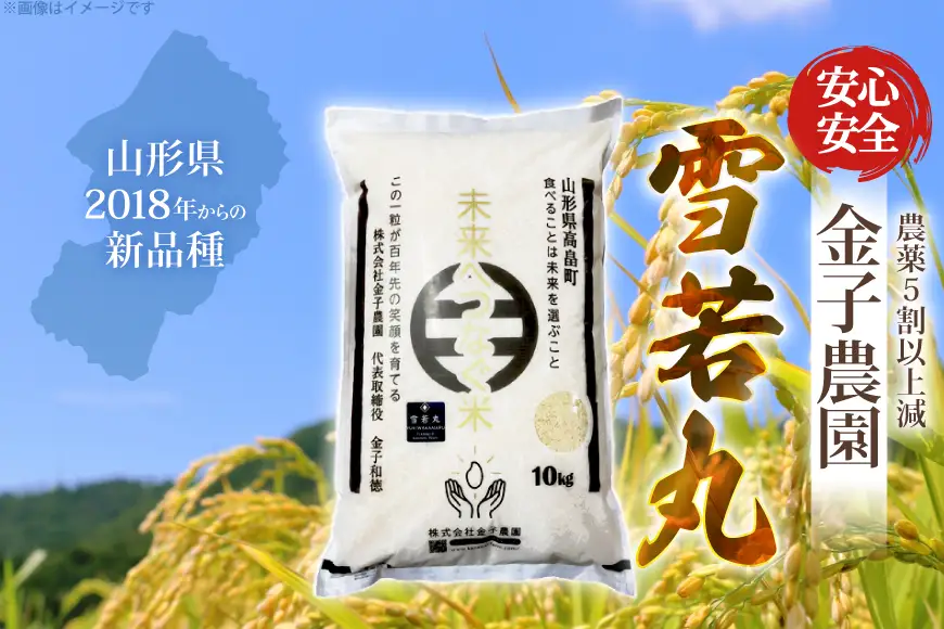 【期間限定発送】 米 令和7年産 慣行栽培 雪若丸 10kg [金子農園 山形県 高畠町 tk06ays950060]