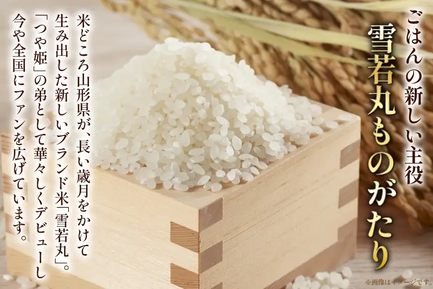 米 令和8年産  雪若丸 5kg [本田勇仁 山形県 高畠町 tk06bgj910000]