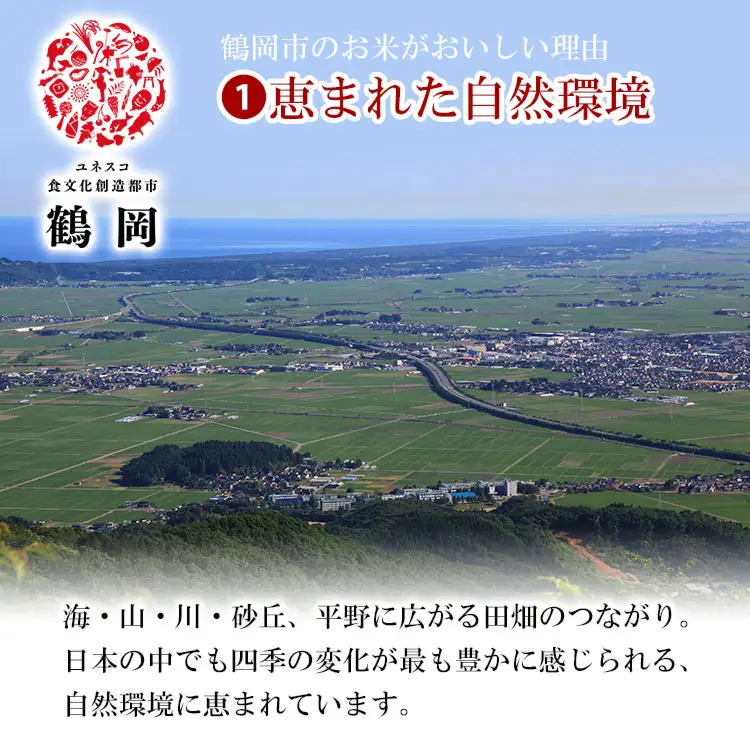 【令和7年産】 コシヒカリ 精米 10kg (5kg×2袋)　山形県産　米食味鑑定士お薦め　| こしひかり 10キロ 米 お米 コメ 白米 食品 ご飯 ごはん 美味しい おいしい ブランド米 おすすめ 人気 山形県 鶴岡市 東北 国産 お取り寄せ 返礼品