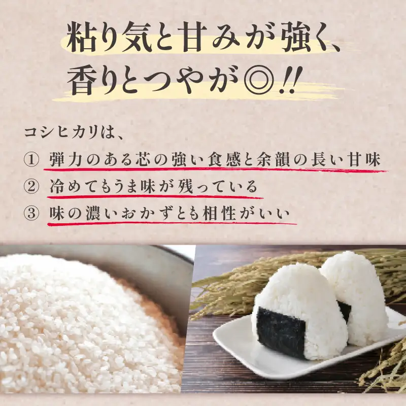 【事前受付 国産 コシヒカリ】定期便3ヶ月 令和8年度産 5kg 白米 お米 タタラ商店 静岡県 牧之原市