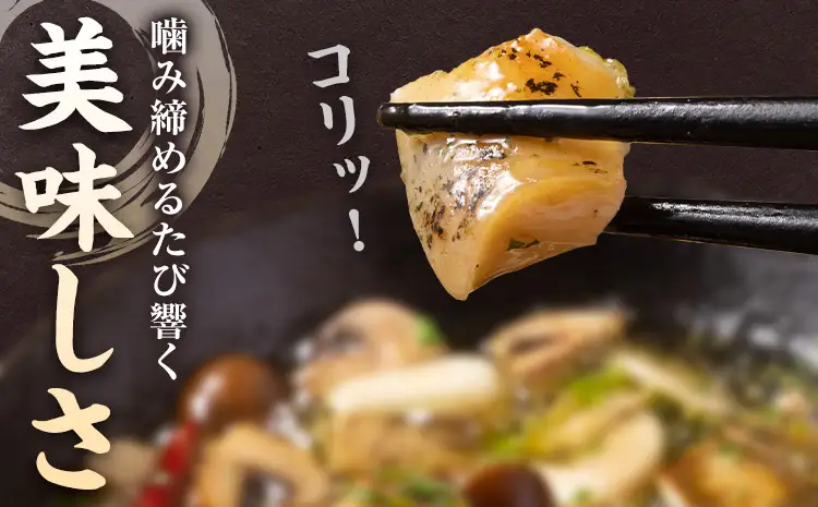 【活】エゾバイツブ 2.5kg 大津漁業協同組合直送 北海道 豊頃町産 産地直送 つぶ貝 つぶ 磯いぶ エゾバイ 期間限定：5月中旬-6月下旬発送 鮮度抜群