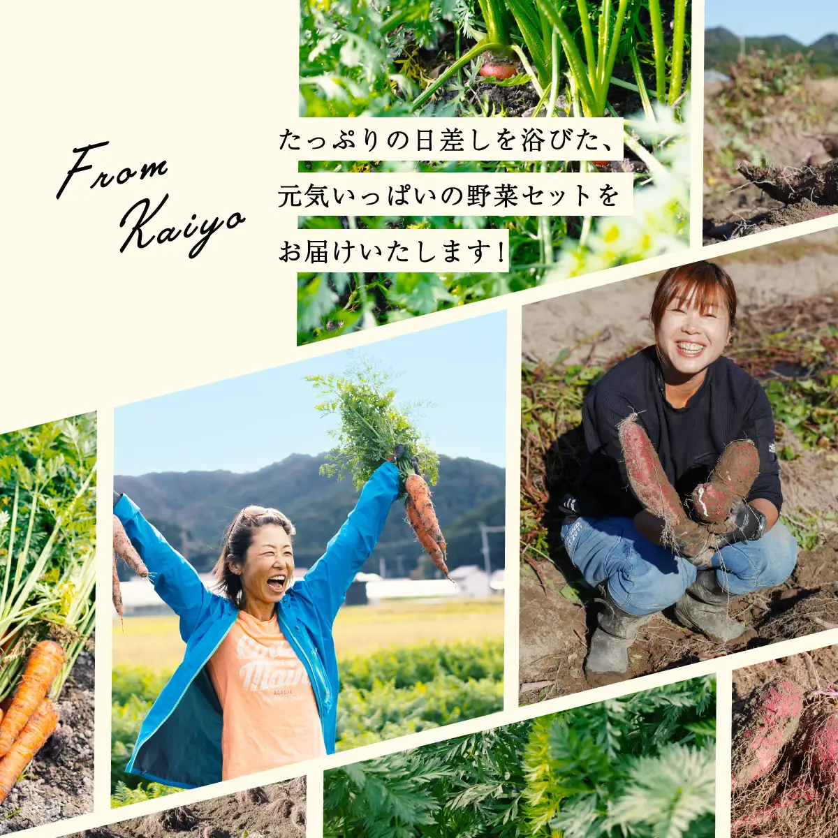 旬のお野菜詰め合わせ 季節のお野菜 お野菜いろいろ セット