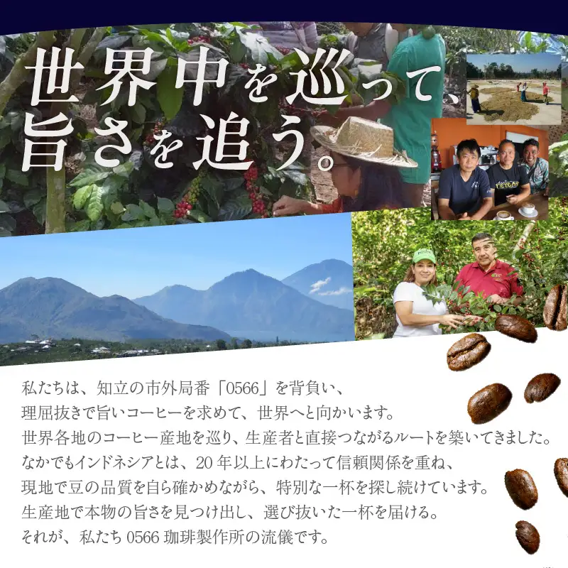 オリジナルブレンド　ハニーブレンド 100g【粉に挽く】（3358）