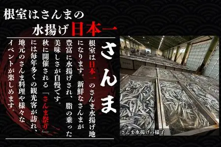 【北海道根室産】さんま混ぜ飯の素2合用×6箱 A-50039