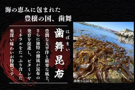 【北海道根室産】さんまと昆布の佃煮140g×10瓶 B-50019