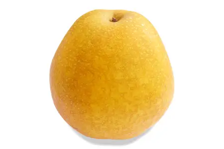 【期間限定】鳥取県産 王秋梨 “赤秀” 5kg（6〜8玉入）【梨 赤梨 赤秀 王秋 王秋梨 おうしゅうなし 5kg 6～8玉 期間限定 なし ナシ 晩生梨 果物 くだもの フルーツ 旬 厳選 高糖度 甘い 贈り物 ギフト お取り寄せ 産地直送 鳥取県】