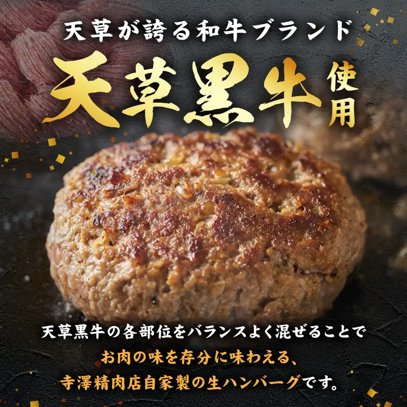 S074-017_天草黒牛生ハンバーグ