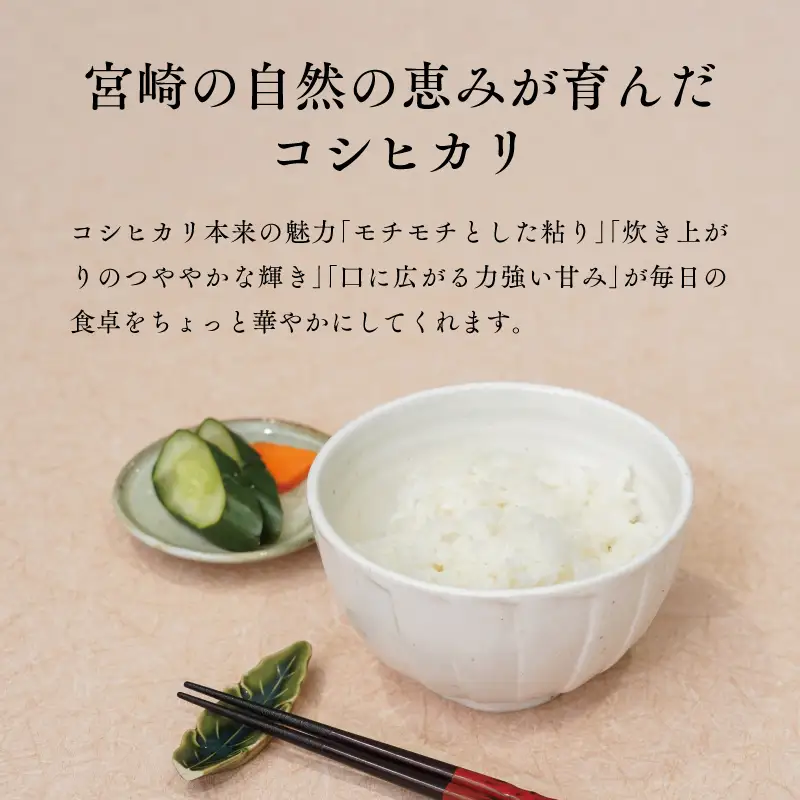 《令和8年度産 先行予約》【数量・期間限定】 井野農園のコシヒカリ お米 ご飯 ごはん おにぎり 