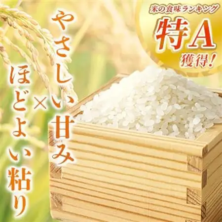 お米 鹿児島県産なつほのか5kg【1730620】