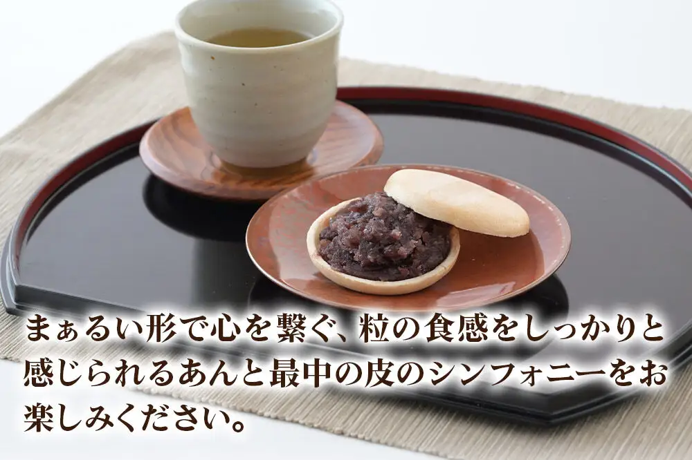 竹うちもなか 小豆 10個入 最中 秋田銘菓 お菓子のくろまる 秋田 美郷町