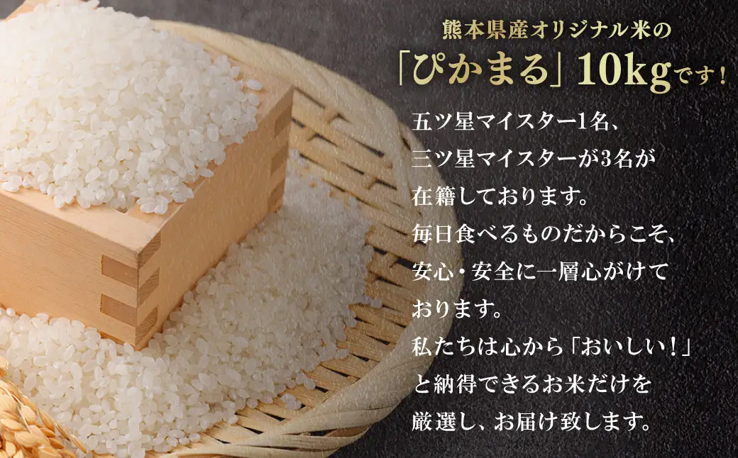 【令和7年産】 熊本県産ぴかまる 5kg×2袋 【2026年8月下旬迄順次発送予定】 お米 粘り 甘み 弁当 米 こめ コメ ご飯 白米 白飯 国産 熊本県産 料理