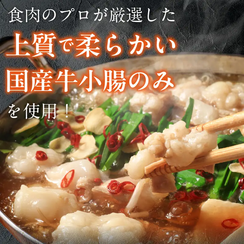 【食肉総合卸 丸正】厳選国産牛のもつ鍋セット（3人前） ［153M16］ 