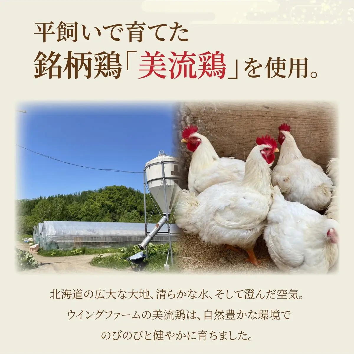 北海道岩見沢産 銘柄鶏 美流鶏モモ肉 2kg 【a138-012】