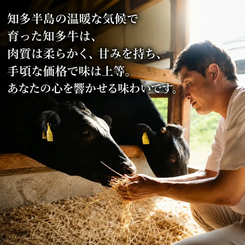知多牛 高級4等級 【サーロインステーキ】250g2枚 ※北海道・沖縄・離島への配送不可
