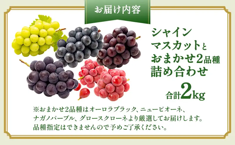 ぶどう 2026年 先行予約 シャインマスカット と おまかせ 2品種 詰め合わせ 合計2kg ブドウ 葡萄 岡山県産 国産 フルーツ 果物 ギフト OEC KINGDOM ぶどう家 果物類
