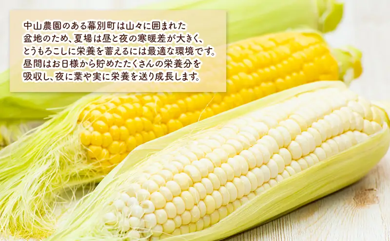 北海道 幕別町産 中山農園 朝どれ とうもろこし 3種 15本 （1本350g以上） [ 北海道産 スイートコーン 野菜  十勝 幕別 新鮮 テレビで紹介 ] 
