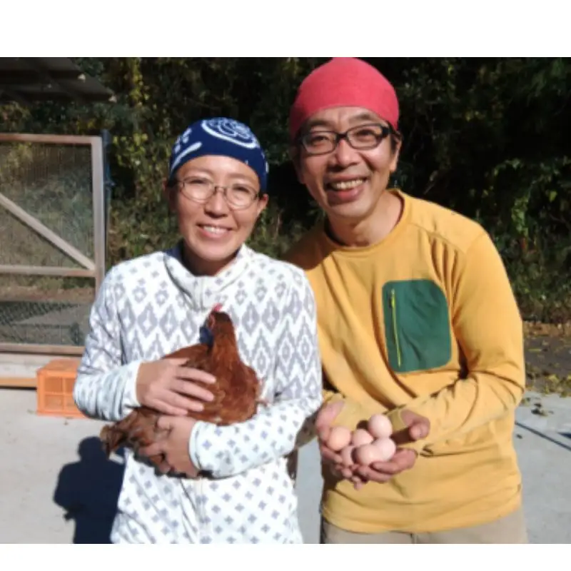 龍神コッコの小さなお肉×3羽分  / 地鶏 鶏 かしわ チキン ムネ もも ささみ 肝 砂ずり 心 たまひも 冷凍 真空パック  田辺市 龍神村 【trt029】