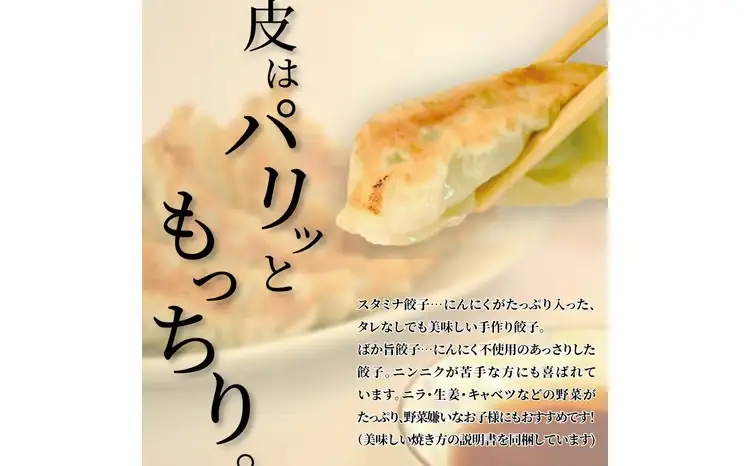 特製！手作り餃子セット（スタミナ餃子45個＋ばか旨餃子45個）〈餃子 冷凍餃子 セット 冷凍食品 人気 美味しい 老舗 有名店  手作り ギョーザ ぎょうざ 野菜 おかず 総菜 おつまみ 中華 大量〉