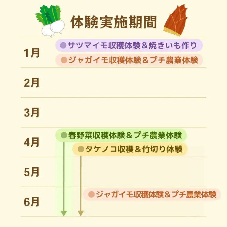 農産物収穫体験（1組5名まで） 〈 旬の野菜の収穫体験 食育 収穫体験 農業体験 体験 収穫 野菜 子供 親子 レジャー 観光 農作物 ふるさと納税 柏 〉
