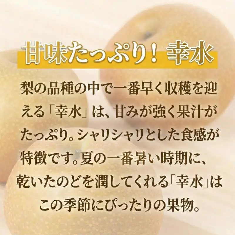 【オンライン決済限定】柏市産 梨（幸水） 5kg 〈先行予約 2026年8月順次発送〉フルーツ 果物 なし 旬 国産 産地直送 千葉県産 新鮮 デザート 【配達不可：沖縄、離島】