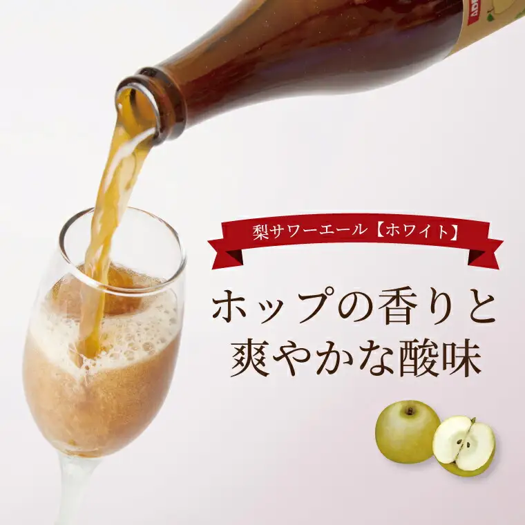 梨サワーエール【ホワイト】 〈 ビール クラフトビール 梨サワーエール お酒 発泡酒 フルーティ SDGs 廃棄梨 果実酒 瓶 飲みやすい アルコール ギフト プレゼント 誕生日 贈り物 お土産 お祝い お礼 パーティ 〉