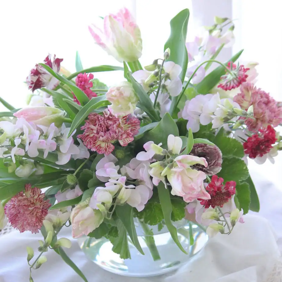季節の花束(生花)の定期便・Mサイズ(6か月)〈 花 定期便 生花 お花 記念日 誕生日 お祝い ギフト プレゼント インテリア 自宅用 全国発送 送料無料 冷蔵 そのまま飾れる 花器なし おすすめ かわいい ※お届け日指定不可 〉