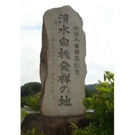 岡山県産　清水白桃　6～8玉入り　2キロ 化粧箱入り【配送不可地域：離島・北海道・沖縄県・東北・関東・信越、北陸】【1726282】