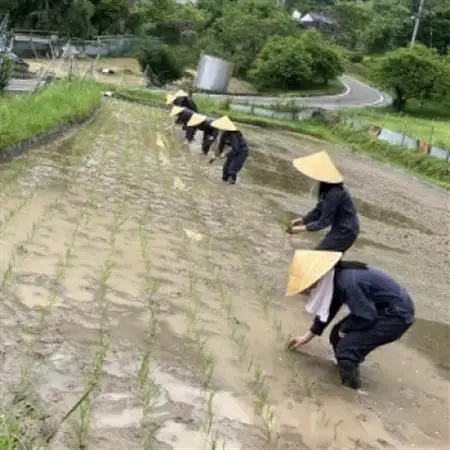 ノンアルコール　甘酒【配送不可地域：離島】【1730769】