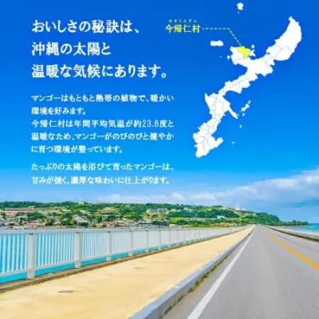 【2026年6月下旬から順次発送・訳あり】今帰仁産のアップルマンゴー1kg(2～4玉)【配送不可地域：離島】【4014742】
