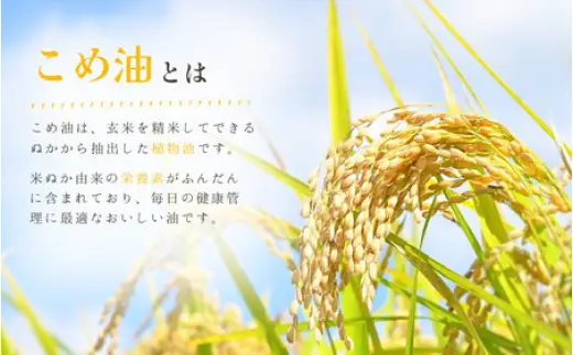 【国産】こめ油　500g×12本入り【ard819】